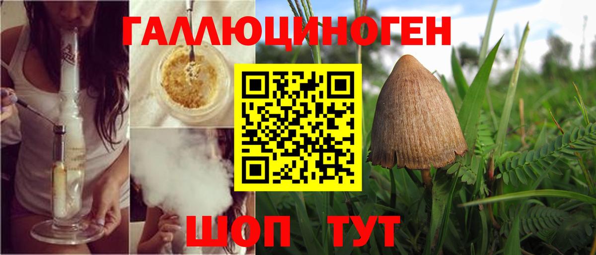 Бугуруслан  Псилоцибиновые грибы мицелий  магазин  наркотиков  Вход с VPN  Псилоцибиновые грибы GOLDEN TEACHER 
